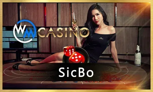 Live Casino Guide Blog Post